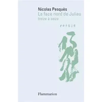 La face nord de Juliau: Treize à seize - Nicolas Pesquès