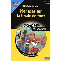 ENIGME VAC CE2 AU CM1 MENACES - CHRISTIAN LAMBLIN, PASCALE IGLESIA
