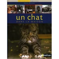 Un chat dans la maison - Claire Bessant, Véronique Cebal
