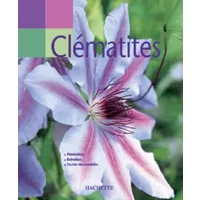 Main verte : Clématites - Mary Toomey