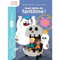 Quel drôle de fantôme ! - Agnès de Lestrade