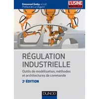 Régulation industrielle - 2e éd.- Outils de modélisation, méthodes et architectures de commande: Outils de modélisation, méthodes et archite - Emmanuel Godoy