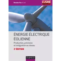 Énergie électrique éolienne - 2e éd. - Production, prévision et intégration au réseau: Production, prévision et intégration au réseau - Brendan Fox