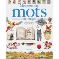 Mon grand livre de mots - Valérie Michaut