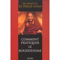 Comment pratiquer le bouddhisme - DALAI LAMA