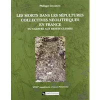 Morts dans les sépultures collectives néolithiques en France : Des cadavres aux restes ultimes - Chambon