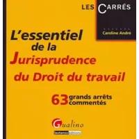L'essentiel de la Jurisprudence du droit du travail : 63 grands arrêts commentés - Caroline André