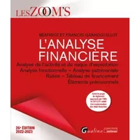 L'analyse financière: Analyse de l'activité et du risque d'exploitation