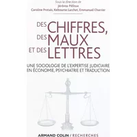 Des chiffres des maux et des lettres: Une sociologie de l'expertise judiciaire en économie, psychiatrie et traduction - Jérôme Pélisse, Caroline Protais, Keltoume Larchet, Emmanuel Charrier