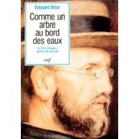 Comme un arbre au bord des eaux : Le Père Damien de Molokaïl, apôtre des lépreux (1840-1889) - Edouard Brion