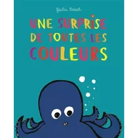 Une surprise de toutes les couleurs - Giulia Bruel