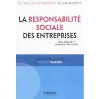 La Responsabilité Sociale des Entreprises. Défis, risques et nouvelles pratiques.
