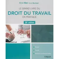 Le grand livre du droit du travail en pratique: Emploi - Travail - Relations professionnelles. - Daniel Marchand, Michel Miné