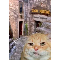 Chat perché - Richard Keller