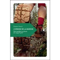 L’Ivresse de la marche, Petit manifeste en faveur du voyage à pied - Émeric Fisset