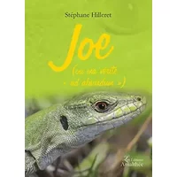 JOE (OU MA VERITE AD ABSURDUM) - Stephane Hilleret