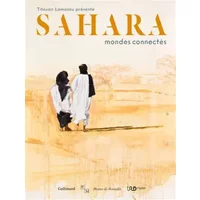 Sahara, mondes connectés - Collectifs