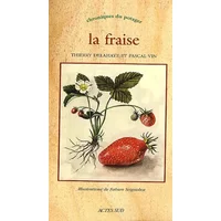 La fraise - Pascal Vin, Thierry Delahaye, Fabien Seignobos
