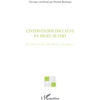 L'intervention éducative en milieu ouvert: Pour une rencontre entre théories et pratiques… - Martine Beistegui