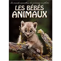 Les bébés animaux - Brandi Valenza