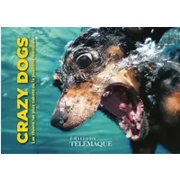 Crazy dogs - Benjamin Garrigues