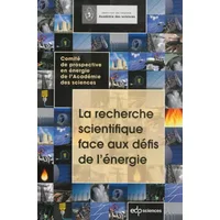La recherche scientifique face aux défis de l'énergie : Comité de prospective en énergie de l'Académie des sciences - Académie des sciences
