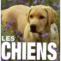 CHIENS - VITO BUONO, CATHERINE BODIN-GODI, SANDRINE DURAND