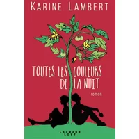 Toutes les couleurs de la nuit - Karine Lambert