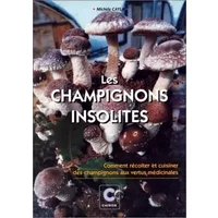 Les champignons insolites - comment récolter et cuisiner des champignons aux vertus médicinales - Michèle Cayla