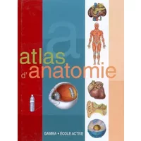 Atlas d'anatomie - Collectif