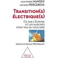 Transitions électriques: Ce que l'Europe et les marchés n'ont pas su nous dire - Jacques PERCEBOIS, Jean-Pierre HANSEN