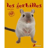 LES GERBILLES - Collectif