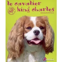 Cavalier King Charles - Emmanuelle Dal'Secco