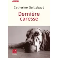 Dernière caresse (grands caractères) - Catherine Guillebaud