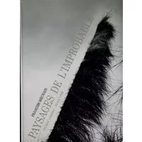Landscape of the Improbable - Frederic Lambert, Nicole Vitre