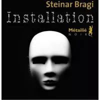 Installation - Steinar Bragi