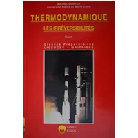 Thermodynamique : les irréversibilités - M. Dubeck