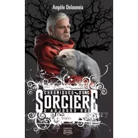 Chroniques d'une sorcière d'aujourd'hui - tome 4 Théo (04) - Angele Delaunois