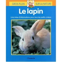 LE LAPIN - Chiafen Her, Yi-Wen Chang, Kai-Xin Yan