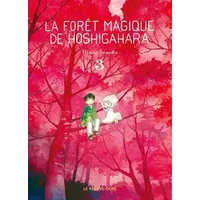 La Forêt magique de Hoshigahara T3 - Hisae Iwaoka
