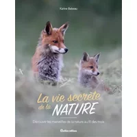 La vie secrète de la nature: Découvrir les merveilles de la nature au fil des saisons - Karine Balzeau