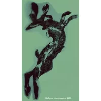 Sol - Raluca Antonescu
