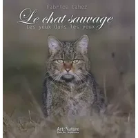 Le chat sauvage, les yeux dans les yeux - Fabrice Cahez