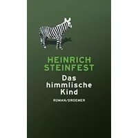 Das himmlische Kind: Roman - Heinrich Steinfest