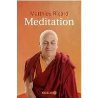 Meditation - Matthieu Ricard