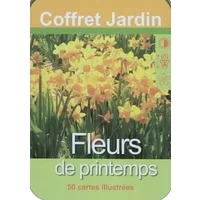 Fleurs de printemps: 50 cartes illustrées - NGV