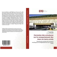 Corrosion des armatures sur le comportement des murs en terre armée: Scénarios de corrosion des armatures métalliques et les dégradations du -