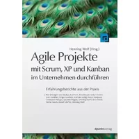 Agile Projekte mit Scrum, XP und Kanban im Unternehmen durchführen: Erfahrungsberichte aus der Praxis