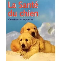 Dog Car Companion : Symptomes & Solutions - Matthew Hoffman