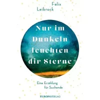 Nur im Dunkeln leuchten dir Sterne: Eine Erzählung für Suchende - Felix Leibrock